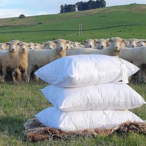 New Zealand woollen pillows from Central Otago by the fashion booth. Sheep in background
