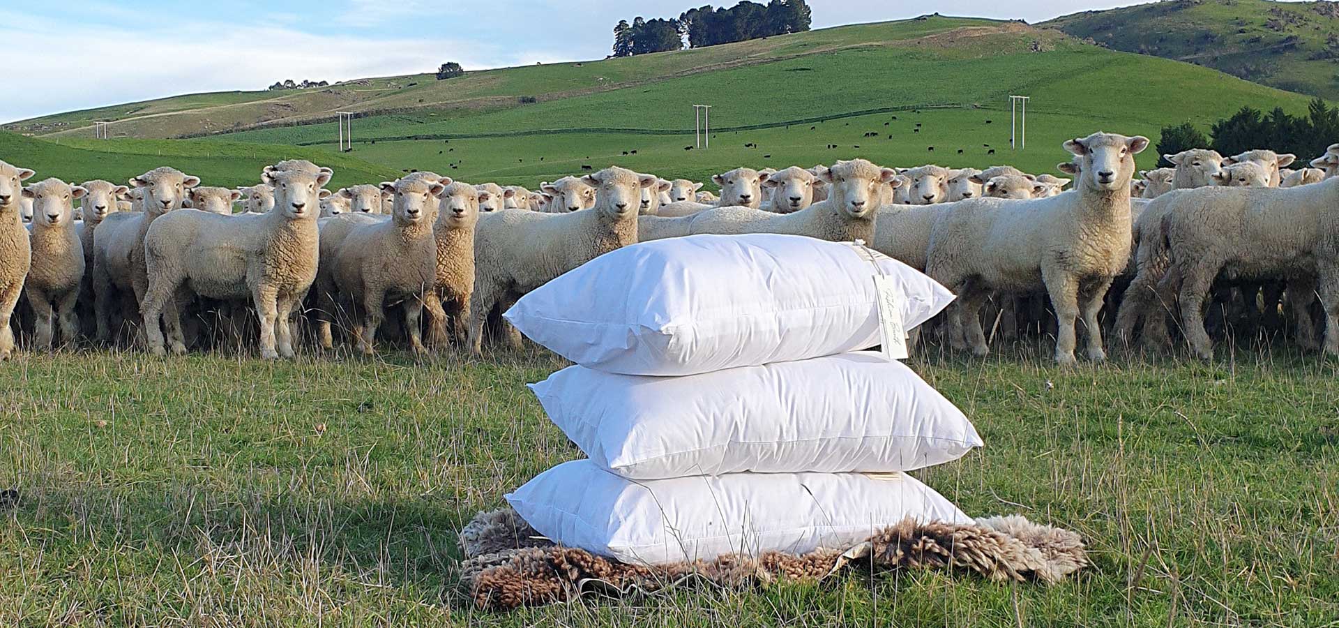 Woollen Pillows FAQs